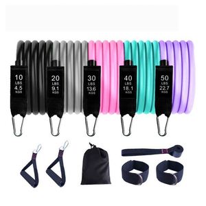 Bandes de Résistance TPE de Haute Qualité pour Exercices, Lot de 11 Pièces, Tubes en Boucle Imprimés, pour Entraînement Intensif, en Vente - Product Image 2