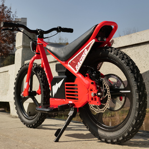 Venta al por mayor de fábrica: Patinete de equilibrio de 24V para niños, juguete de aprendizaje para niños, patinete eléctrico de 24V al por mayor de fábrica. - Product Image 5