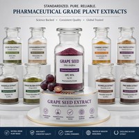 Extrait de pépins de raisin 95% OPC Proanthocyanidines HPLC de qualité alimentaire, poudre brun rougeâtre, fourni par l'usine