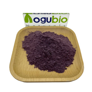 Polvo de <span class=keywords><strong>Carmín</strong></span> de Cochinilla Natural, Pigmento Rojo de Grado Alimenticio Soluble en Agua, Cochinilla al 15% al por Mayor - Product Image 6
