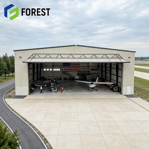 Hangar de Aviones Estándar de Bajo Costo, Estructura de Acero, Capacidad de Carga de Nieve para Aviación, Precio Competitivo - Product Image 1