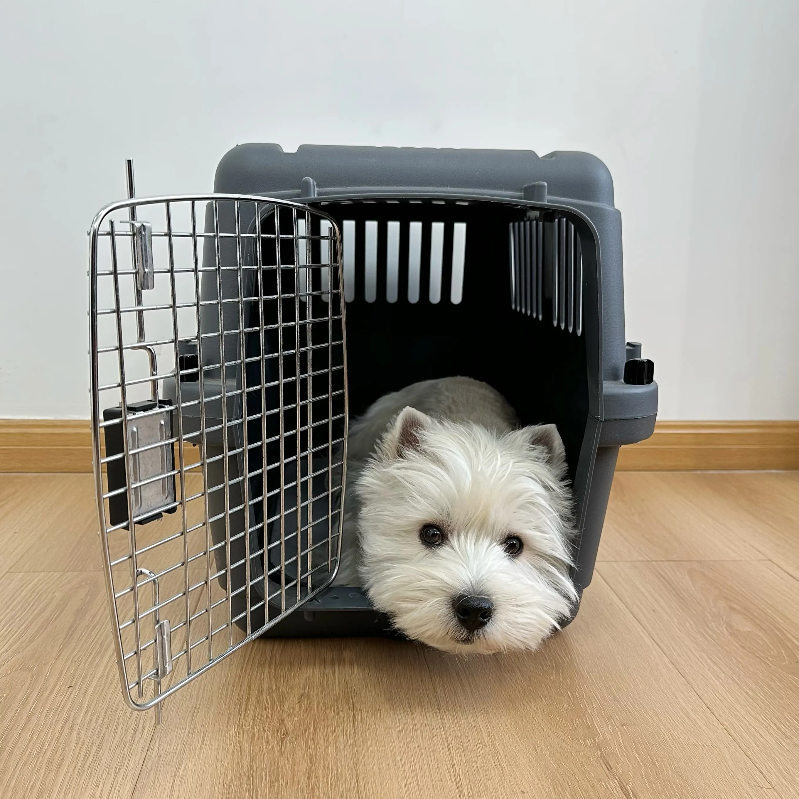 Pet taşıma çantası nefes köpek kedi taşıma çantası durumda büyük uzay havayolu onaylı araba taşınabilir taşıma seyahat köpek kafesi kutusu