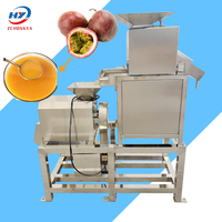 Dubbele Roller Fruitpulpmachine met Zaadverwijdering voor Passievruchten, Fruitpulpbereiding en Fruitverwerking