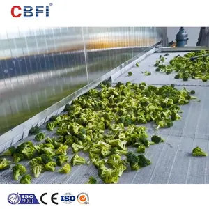 20000kg/h Preço preferencial congelador de túnel IQF de brócolis congelado rápido de alta qualidade