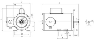 Motor Servo de CA de Acero Inoxidable NEMA TENV para Plantas de Procesamiento de Alimentos, Venta Directa de Fábrica, Monofásico, 208-230V - Product Image 2