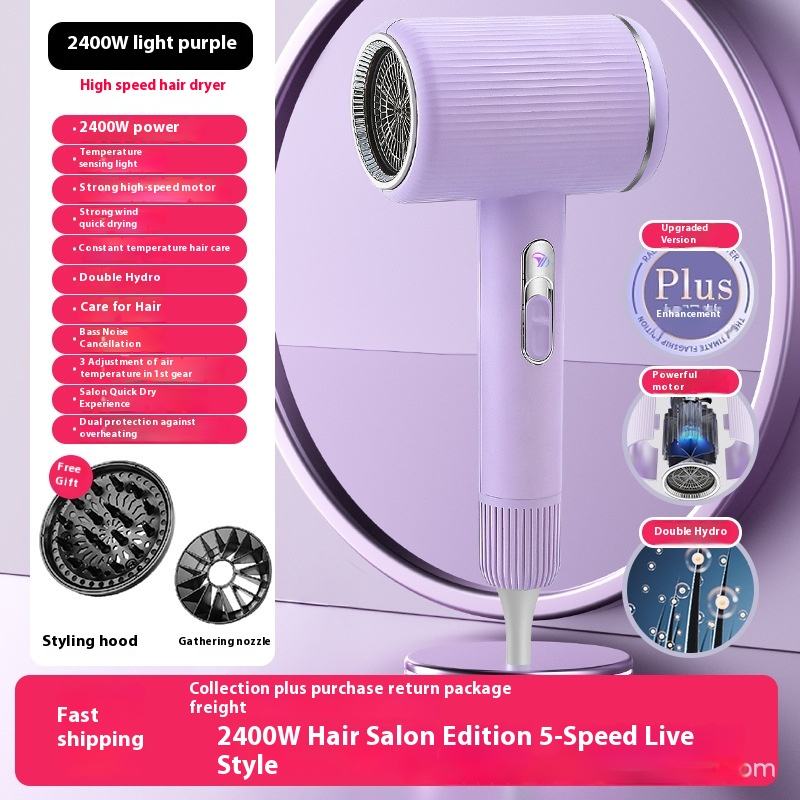 Y10หมอกสีม่วง2400W + หัวฉีดอากาศแบบสแตนด์อโลน + โล่อากาศ