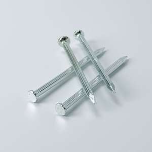 Clous à tête large en acier galvanisé à chaud (HDG) ou électrolytique à bas prix, en promotion pour la Gambie, le Kenya, le Mali, <span class=keywords><strong>Maurice</strong></span> - Product Image 1