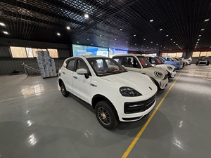Nuevo vehículo eléctrico de cuatro ruedas completamente cerrado New Energy Electric Four-wheel Vehicle Mini Car - Product Image 6