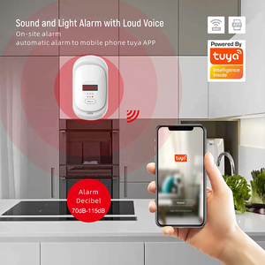 Novo Sistema de Alarme Sem Fio Desenvolvido, Alarme Interno RF433mhz, <span class=keywords><strong>Detector</strong></span> de Gás Combustível para Casa - Product Image 5