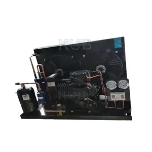 Condensing unit for cold room storage S51 BFS51 BFCA-0500 cold room compressor 5hp air cooler condensing unit