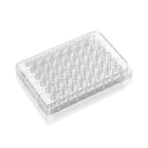 Dapat disesuaikan 6/12/24/48/96 pelat budaya sel kaca sumur dengan bagian bawah datar TC dan tutup didukung OEM - Product Image 4