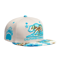 Casquette de baseball pour hommes, professionnelle, personnalisée, 6 faces, mode hip-hop, chapeau de sport, multicolore, pour l'extérieur, pour camionneur