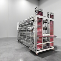Système de cages automatiques en H pour poules pondeuses, équipement avicole résistant à la corrosion avec plaques ZAM pour poulaillers
