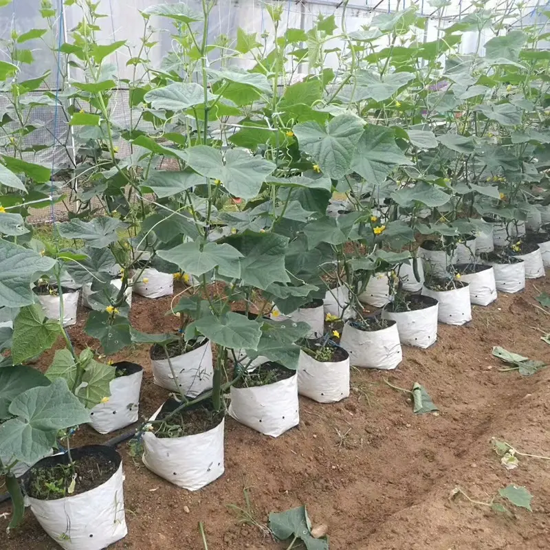 Saco hidropônico de plástico para crescimento, saco de plástico de 1 galão para plantas