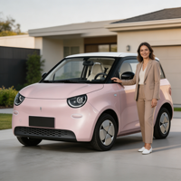 Prix usine 2026 Linxys A100C Mini SUV électrique Batterie lithium 4 places Autonomie 201-300 km 30 kWh Commande en gros OEM/ODM pris en charge