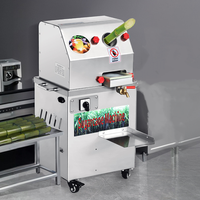 RVS commerciële fruit- en groentesapcentrifuge 220V motor aangedreven hoge productiviteit verse sap extractor voor sap