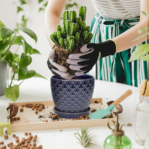 <span class=keywords><strong>Macetas</strong></span> suculentas de flores pequeñas <span class=keywords><strong>para</strong></span> decoración del hogar, bandeja de porcelana, <span class=keywords><strong>macetas</strong></span> de cerámica <span class=keywords><strong>para</strong></span> plantas de interior - Product Image 6