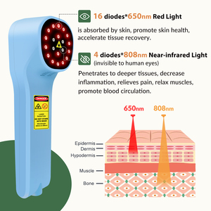 ZJZK Pas d'infection croisée Réduction des cicatrices Traitement au laser froid pour les maladies <span class=keywords><strong>de</strong></span> la peau des chiens, Inflammation des articulations Troubles <span class=keywords><strong>de</strong></span> la cicatrisation des plaies - Product Image 4