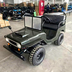 Kart de golf homologué route, essence, batterie au plomb 48V 72V, 351-450 ch, acier Q235B, 4 ou 6 places - Product Image 1