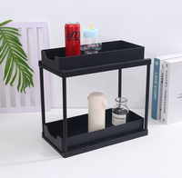 Étagère à épices coulissante à 2 niveaux pour comptoir de cuisine, rangement pour pots à épices, bouteilles et garde-manger, gain de place