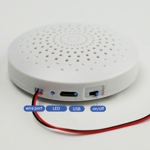 Sensor <span class=keywords><strong>de</strong></span> luz recargable <span class=keywords><strong>de</strong></span> 8M, caja grabadora <span class=keywords><strong>de</strong></span> módulo <span class=keywords><strong>de</strong></span> voz <span class=keywords><strong>de</strong></span> música <span class=keywords><strong>de</strong></span> sonido descargable USB <span class=keywords><strong>para</strong></span> regalo <span class=keywords><strong>de</strong></span> <span class=keywords><strong>Navidad</strong></span> DIY, mensaje personalizado - Product Image 4