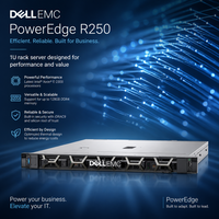 Untuk Platform Server Web Rak 1U PowerEdge R250, Dukungan Drive SATA Intel Xeon E-2300