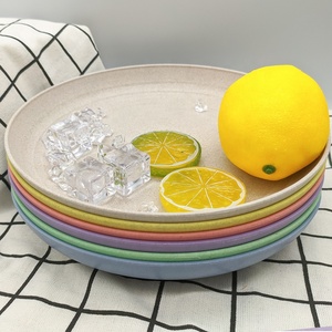 Assiettes en plastique de blé réutilisables de 9 pouces, design moderne, 4 pièces, écologiques, compatibles micro-ondes, assiettes émaillées pour pique-nique, directement de l'usine - Product Image 5