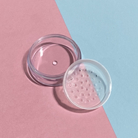 Pot vide pour poudre libre 5g 10g avec tamis, pot cosmétique pour poudre avec houppette