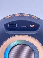 Altavoz Bluetooth para Fiestas con Luz LED, Karaoke Portátil, Sonido Estéreo de Alta Fidelidad, Radio FM, USB, SD, Micrófono Incorporado
