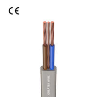 Câble électrique en cuivre PVC à deux ou trois conducteurs, norme britannique BS 6004, 1 mm/1,5 mm/2,5 mm/10 mm, pour l'éclairage de construction