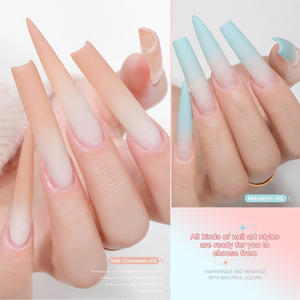 Gel de peinture à ongles solide 9 grilles, sans essuyage, haute pigmentation, pour effet blush dégradé et estompé, vente en gros - Product Image 4