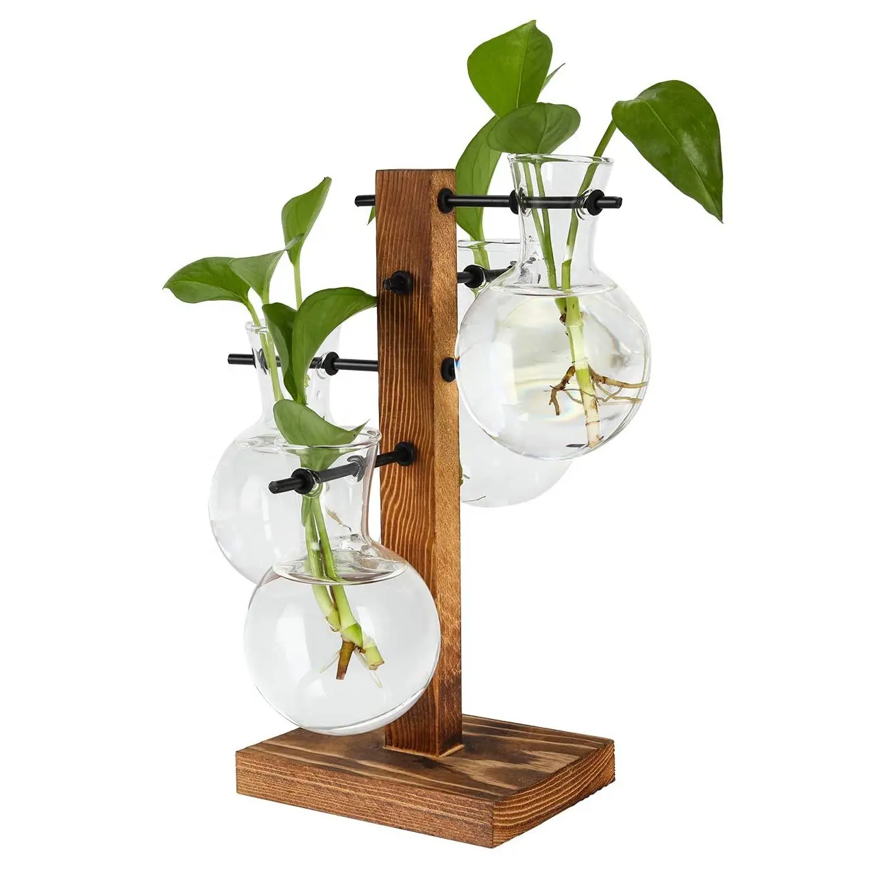 Lkeramazon — Vase d'ampoule en verre, Terrarium de plantes hydroponiques de bureau avec support en bois massif rétro et support <span class=keywords><strong>pivotant</strong></span> en métal