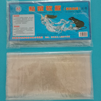 Ménage Non-toxique Souris Colle Piège Collant Conseil Couverture Rat Souris Attrape Tueur