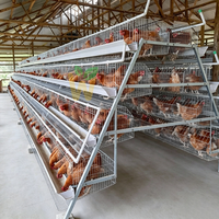 Cage à poules pondeuses à 4 niveaux de type A, capacité 128 poules, cage d'élevage pour poulets pondeurs pour ferme avicole au Kenya à prix compétitif