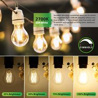 Ampoule LED globe vintage personnalisable E27 AC pour hôtel, télécommande, intensité variable, blanc chaud 2700K, durée de vie 30000 heures, usage domestique