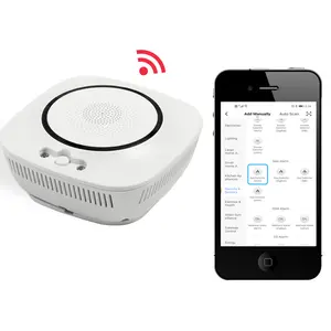 Loud Voice China Alarm Fixed Methane LPG Gas Detector For Smart Home Automation WiFi Connection