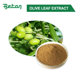 Ekstrak Daun/Buah Zaitun Bubuk Bahan Baku Grosir Massal Polifenol 10% <span class=keywords><strong>20</strong></span>% dengan UV - Product Image 2