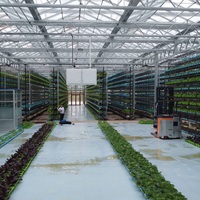 Commercial Agriculture Serre Weifang Fournisseur pour la Vente