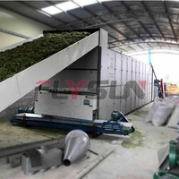 Machine de séchage à énergie d'air haute capacité Équipement de séchage de traitement de légumes Séchoir à bande de gombo et de betterave
