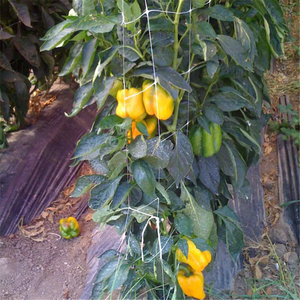 Red de enrejado de plantas de alta resistencia para jardín, Red de soporte para plantas de escalada - Product Image 4