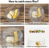 Best Beoordeelde Nuttige Ongediertebestrijdingsaccessoires, Waaronder Fruitvlieglijmval En Insectenvangend Vliegpapier