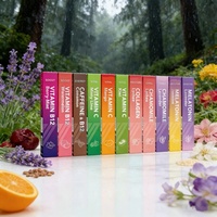 Diffuseurs de vitamines énergétiques à base de molène pure personnalisés pour les installations en Malaisie, diffuseur d'aromathérapie naturel à base de plantes, stylo diffuseur avec un pack 4 en 1