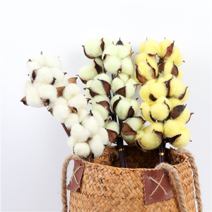 Naturellement séché <span class=keywords><strong>coton</strong></span> <span class=keywords><strong>fleurs</strong></span> blanc maison décorative artificielle branche florale mariage demoiselle d'honneur <span class=keywords><strong>Bouquet</strong></span> décor faux blanc fleur - Product Image 4