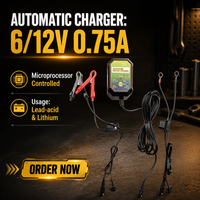 Chargeur de batterie portable 6V/12V DC pour voitures et motos, compatible avec les batteries au plomb-acide AGM et au lithium, garantie 1 an