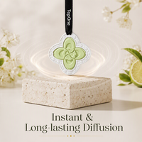 TopOne Pendentif Auto Plâtre Mat Relief Floral Déco Intérieure Pierre Aroma Évaporation Longue Durée