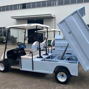 Voiturette <span class=keywords><strong>de</strong></span> <span class=keywords><strong>golf</strong></span> à essence <span class=keywords><strong>Club</strong></span> nouvellement conçue Voiturette <span class=keywords><strong>de</strong></span> <span class=keywords><strong>golf</strong></span> personnalisée utilitaire à essence <span class=keywords><strong>2</strong></span> places exportée aux États-Unis pour la vente - Product Image 3