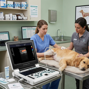 Ecógrafo <span class=keywords><strong>Doppler</strong></span> Color <span class=keywords><strong>3D</strong></span> Veterinario Portátil para Perros y Gatos, Máquina de Ultrasonido <span class=keywords><strong>Doppler</strong></span> Color para Diagnóstico de Gestación - Product Image 1