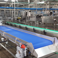 LWT fournit la ligne de production de l'industrie alimentaire machine d'emballage en acier inoxydable transportant le convoyeur à bande bleu