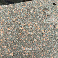 Vissney Revêtement Texturé Effet Fausse Pierre de Qualité Professionnelle pour Mur Extérieur, Peinture d'Imitation Granit