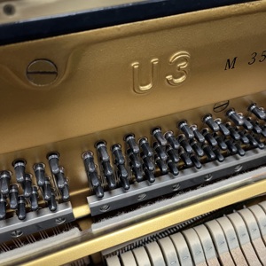 <span class=keywords><strong>Cuerdas</strong></span> de bajo extendidas <span class=keywords><strong>Yamaha</strong></span> U3M de 131 cm, clavijas de afinación de tungsteno - Product Image 1